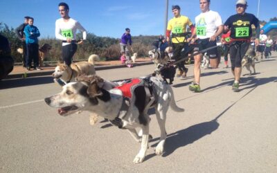 Por qué unirte a un club de mushing