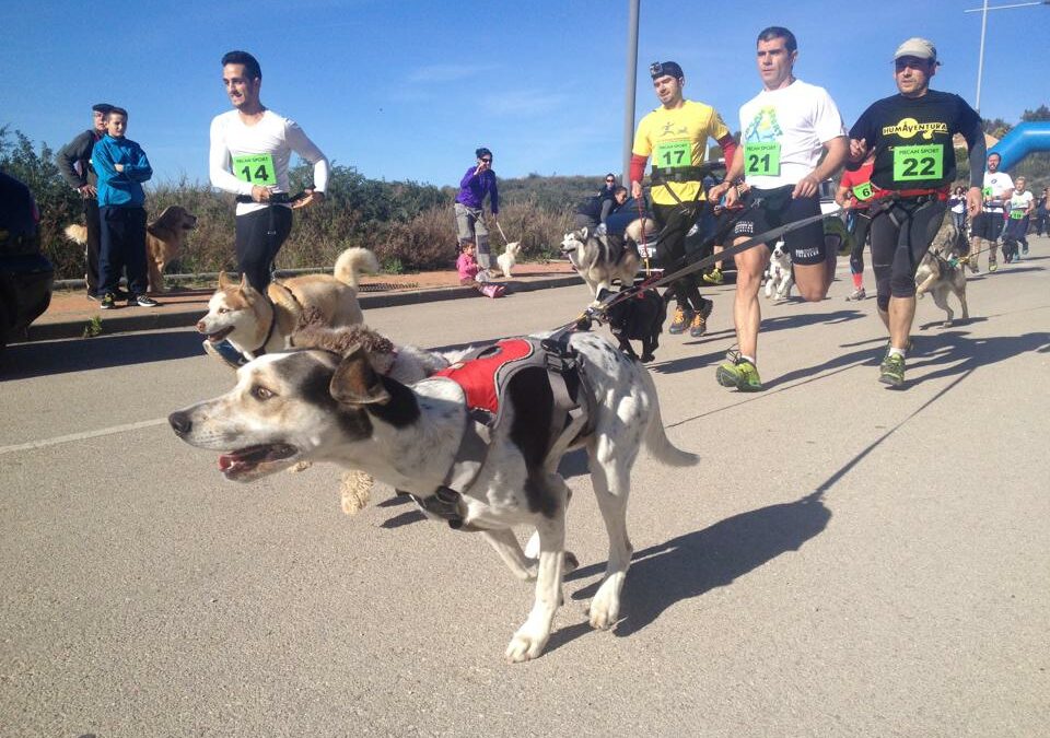 Por qué unirte a un club de mushing