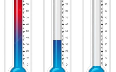 ¿A qué temperaturas se puede practicar el CaniCross?