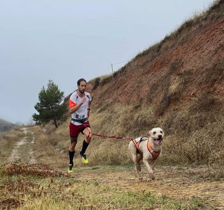 ¿Cómo conseguir que el perro vaya delante y tire en canicross?