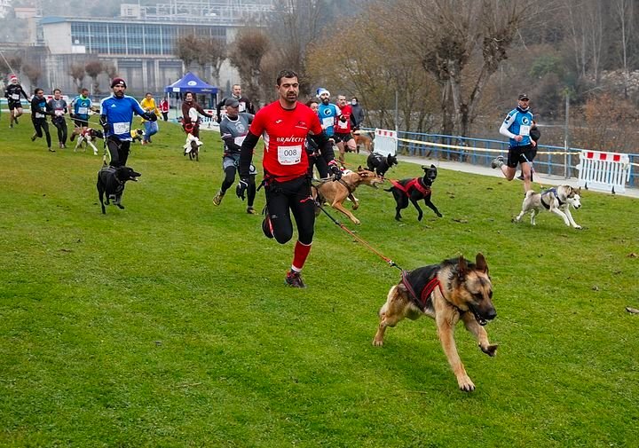 ¿Qué es el Canicross y cuáles son sus beneficios?